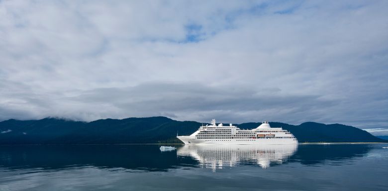 A cruise ship on the open water.