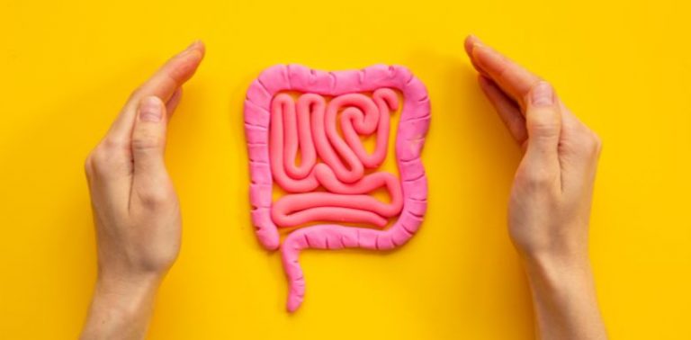 Two hands around a model of intestines, on a yellow background.