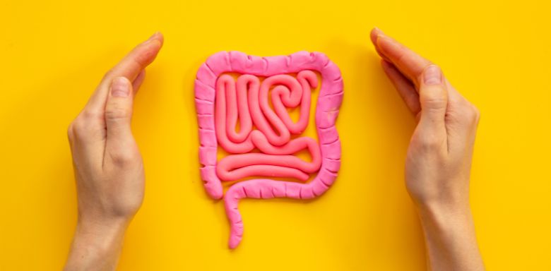 Two hands around a model of intestines, on a yellow background.