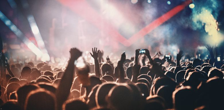 The crowd at a rock concert.