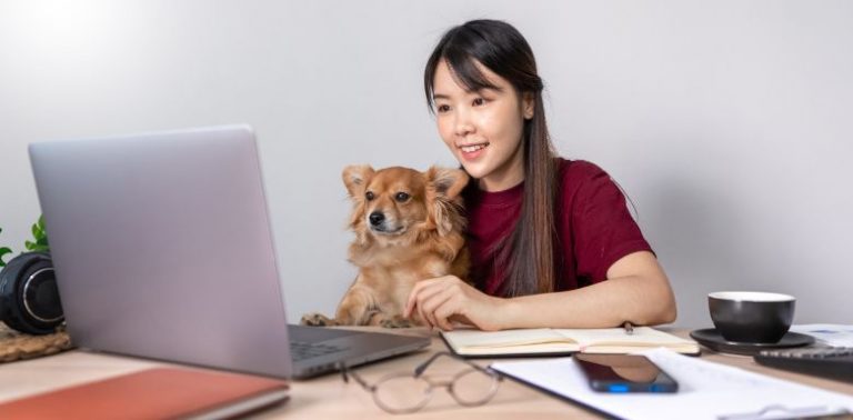 A woman sitting at a table with a dog on her lap. She is looking at a laptop, working.